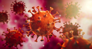 Épidémie du COVID-19: virus SARS-CoV-2<br>- Ce que vous devez savoir
